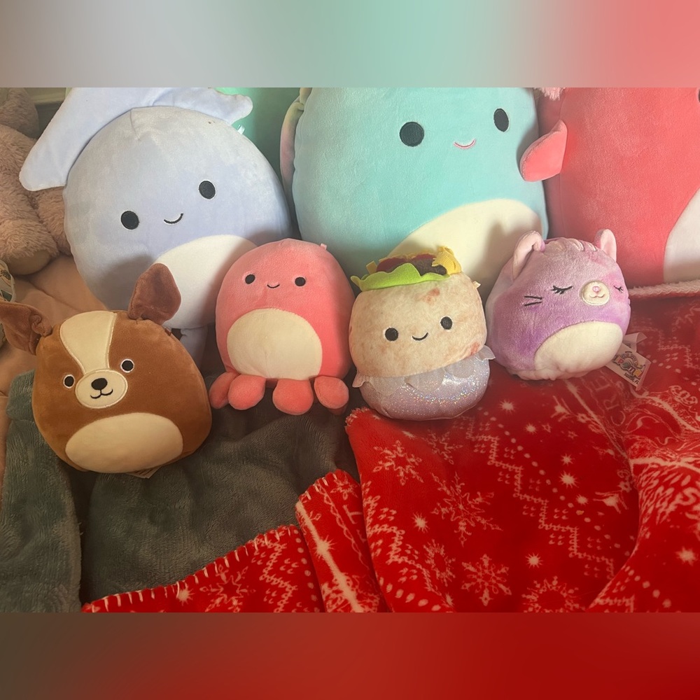 Squishmellow 5” bundle